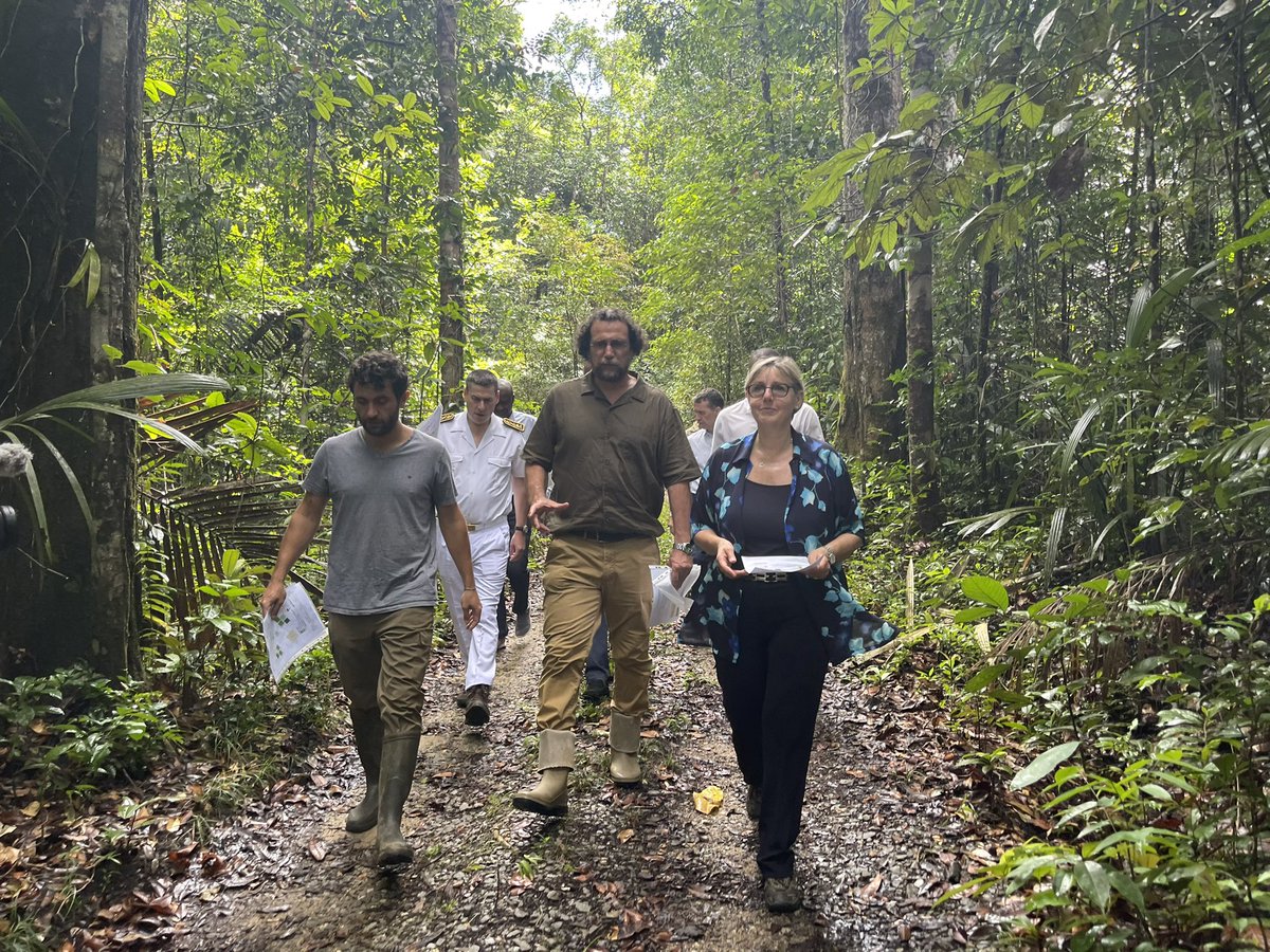 sretailleau's tweet photo. La recherche en Guyane permet aussi de mieux comprendre les écosystèmes tropicaux en Amazonie, et la manière de les protéger https://t.co/Ue8ieQCbF3