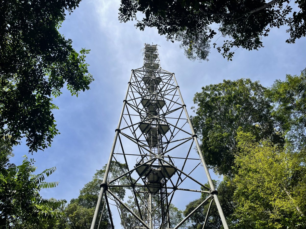 sretailleau's tweet photo. La recherche en Guyane permet aussi de mieux comprendre les écosystèmes tropicaux en Amazonie, et la manière de les protéger https://t.co/Ue8ieQCbF3