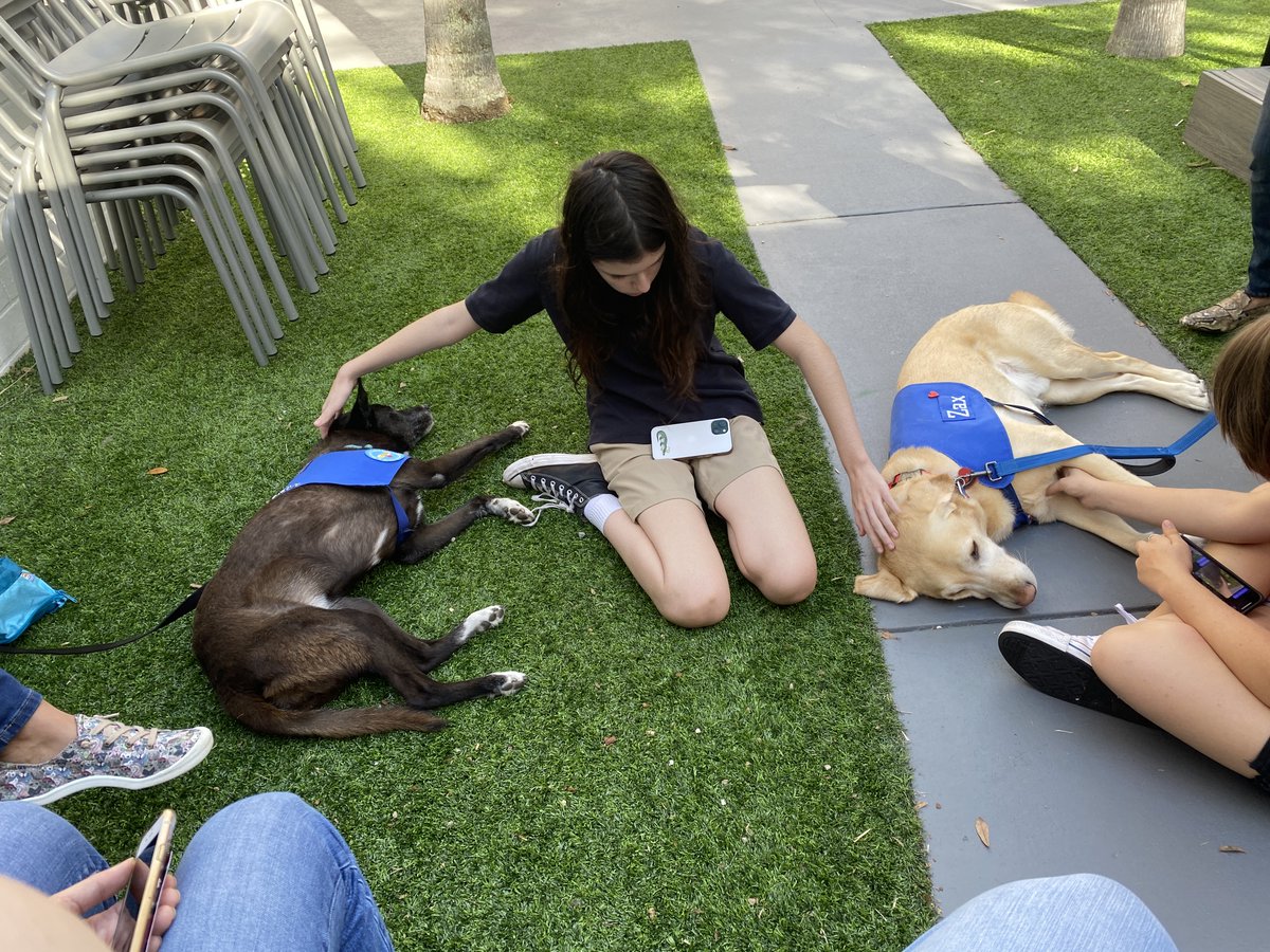 Reading_Reba's tweet photo. It's a good day for everyone (including teachers!) when therapy dogs come to visit during exams. Thanks, Bella and Jax, for being such loves! #stressrelief #LHPSRollLibrary @LHPS_Libraries https://t.co/gufFd1LBQ6