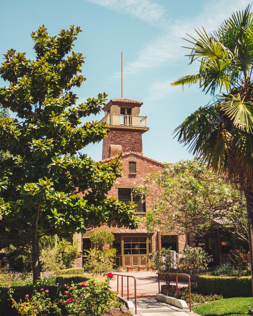 12 days till Christmas...are you still looking for the perfect gift?✨ Well look no further because we know just the thing for that special someone. Our never-expiring hotel gift cards are 15% off until December 24th! Give the gift of vacation &amp; score savings! 🎁 Link in bio.