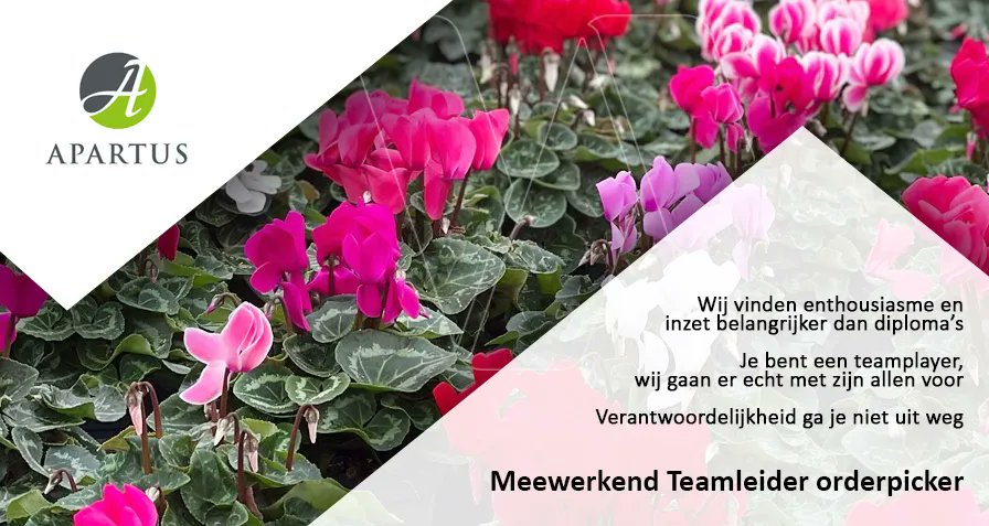 Bekijk #vacature Meewerkend Teamleider orderpicker bij Apartus in Poeldijk op Westlandwerk.nl via buff.ly/3FwxsIq