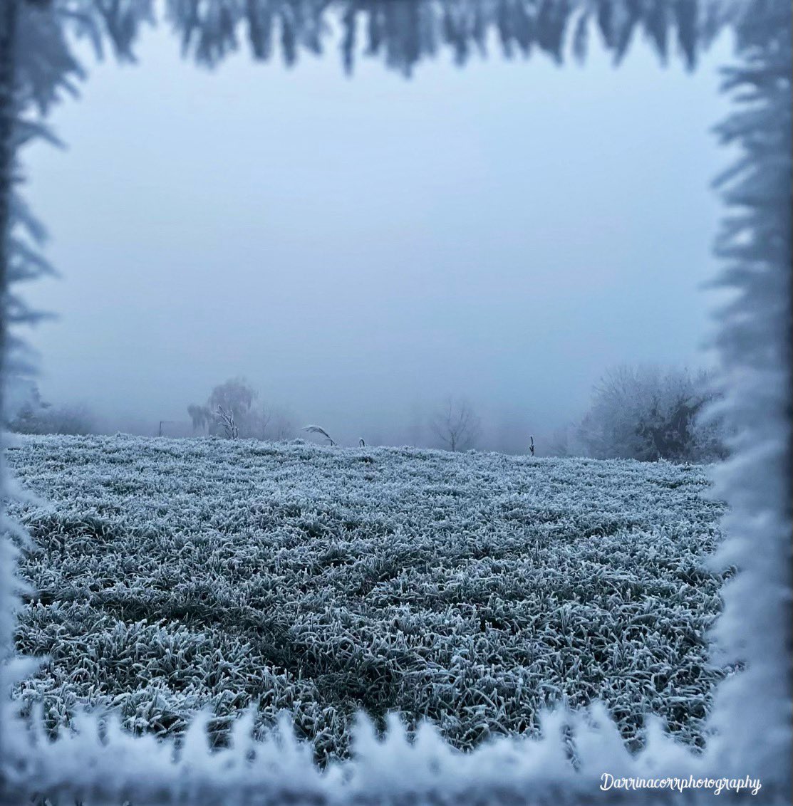 Darrinacorr's tweet photo. Being a bit creative with my photography. Using the frost on the wire fence as a frame while capturing the fog this morning #photography #winterphotography #winter #WinterWonderland #framingphotography #armagh #foggymorning #beingcreativeinmyphotography https://t.co/tTJc6AtBEw