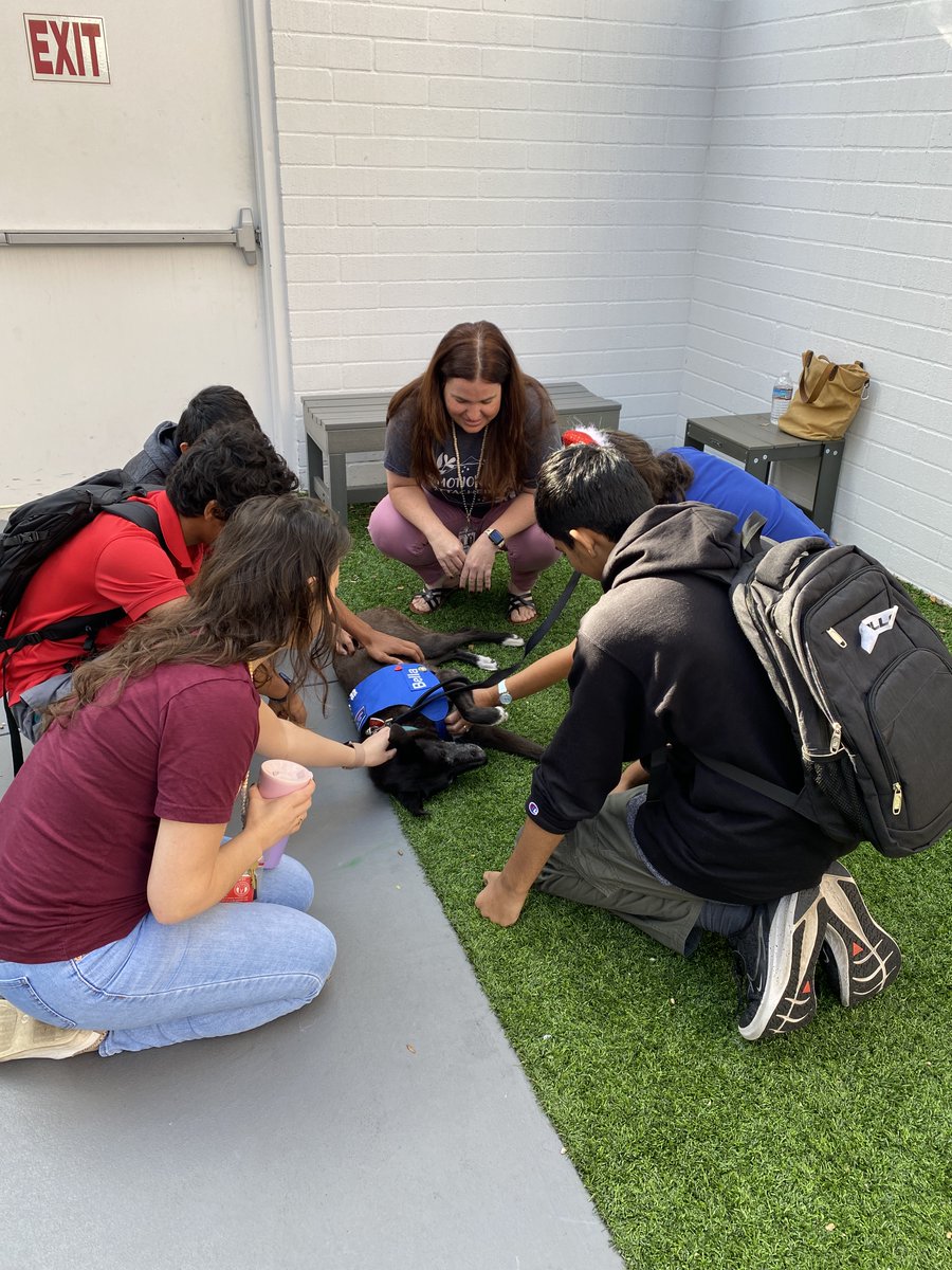 Reading_Reba's tweet photo. It's a good day for everyone (including teachers!) when therapy dogs come to visit during exams. Thanks, Bella and Jax, for being such loves! #stressrelief #LHPSRollLibrary @LHPS_Libraries https://t.co/gufFd1LBQ6