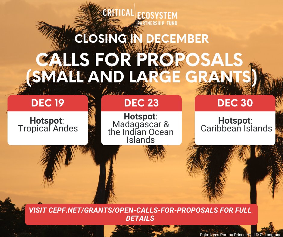 CEPF (@communitycepf) on Twitter photo Closing soon! #CEPF calls for proposals for small and large grants in #Ecuador, #Madagascar and the Indian Ocean Islands, and the #Caribbean Islands.
Please visit cepf.net/grants/open-ca… for full details and instructions. Closing soon! #CEPF calls for proposals for small and large grants in #Ecuador, #Madagascar and the Indian Ocean Islands, and the #Caribbean Islands.
Please visit cepf.net/grants/open-ca… for full details and instructions.
