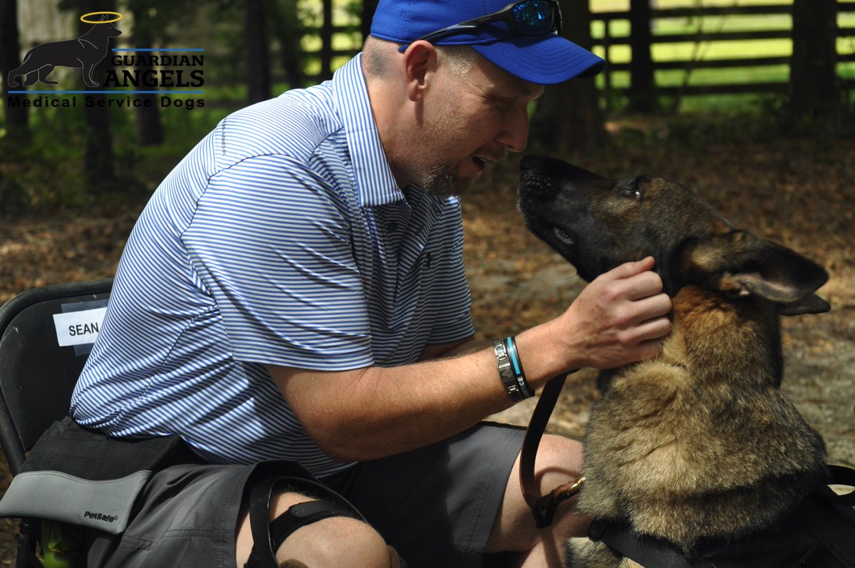 MediServiceDogs's tweet photo. ⬇️Click this Link⬇️
https://t.co/00VdzU4aeu
$5 from each of our friends trains another #ServiceDog for someone living with a disability💙 Make another life-changing moment like this possible this Christmas by giving a gift that saves a life.🎁🐾 #Love #ServiceDogs #LifeSavingGift https://t.co/Hbylu8Ign6
