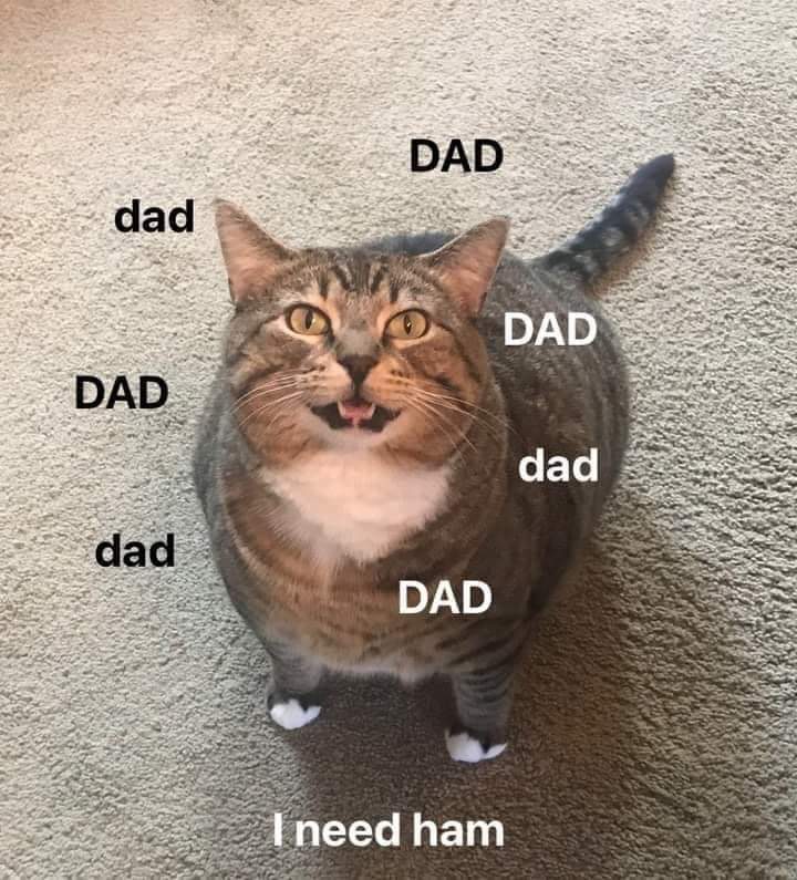 CATBRAINCELL's tweet photo. https://t.co/SDod6gCVft