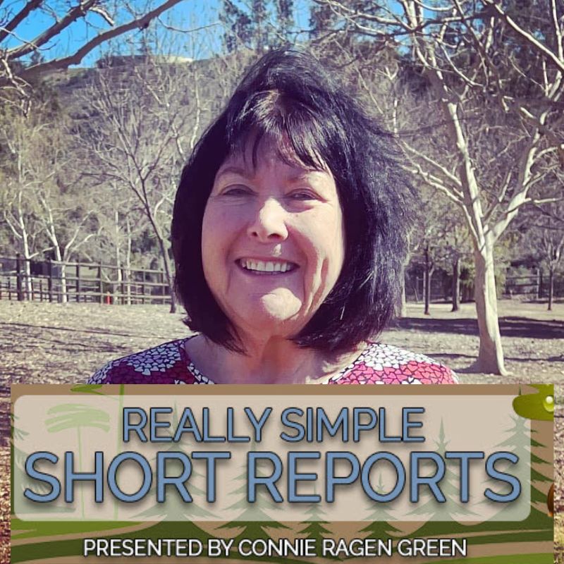 Janice_Dugas's tweet photo. Ready to start writing and selling short reports to build your online business? Get inside @ConnieGreen live workshop trainings to master the skills to passive income! Check it out: https://t.co/rKCnisK8hC #passiveincome #passiveonlineincome #reallysimple #onlinebusiness #syndopt https://t.co/O5pZAGv16E