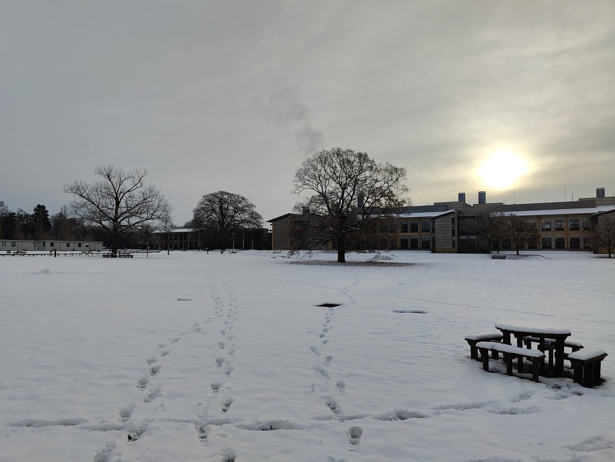 Aurélien Luciani tweet media