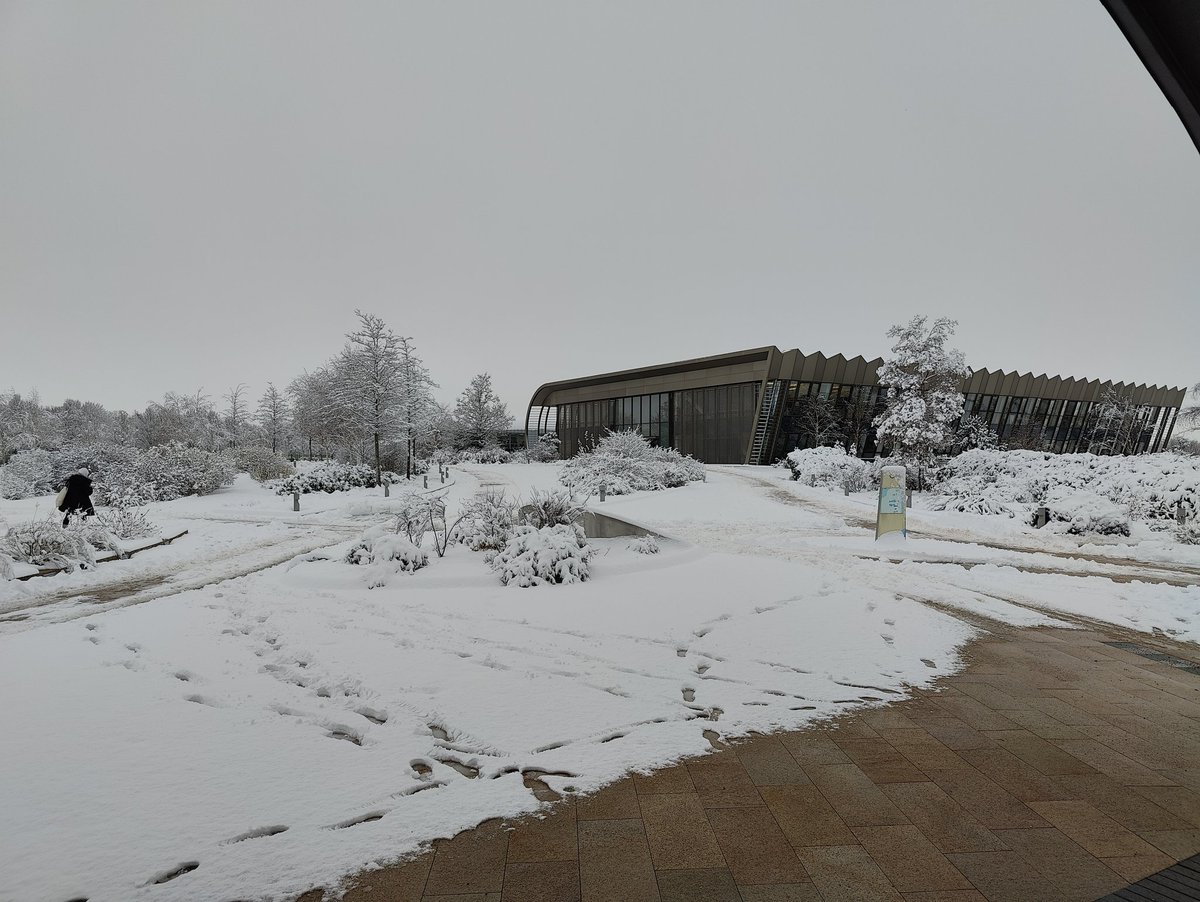 Aurélien Luciani tweet media