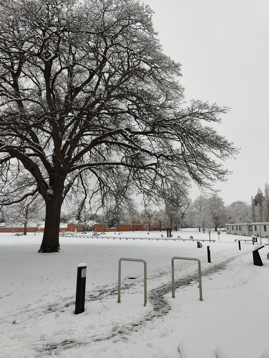 Aurélien Luciani tweet media