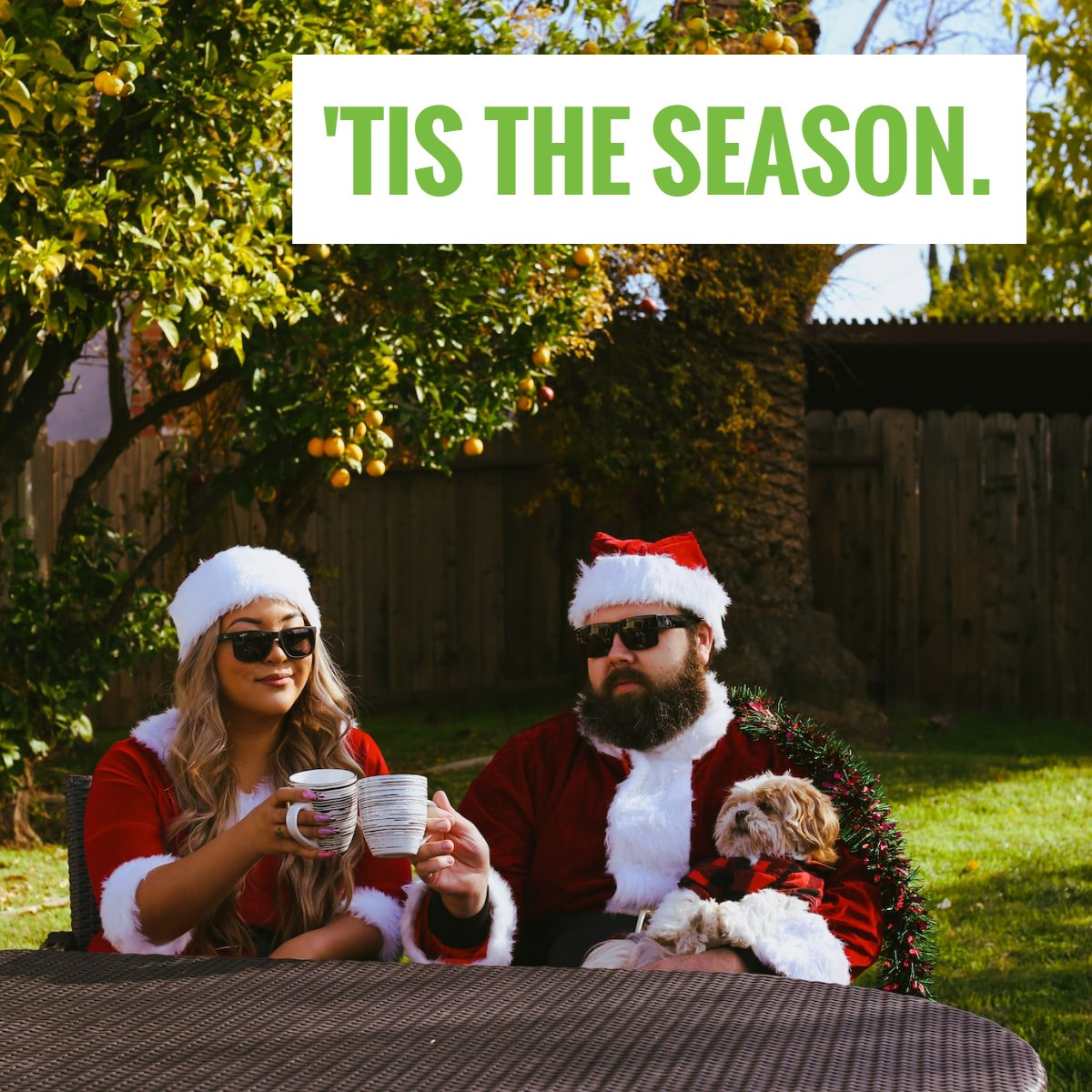 Treat your yard to something new for the holidays. Get in touch with our team today: (956) 478-6673.