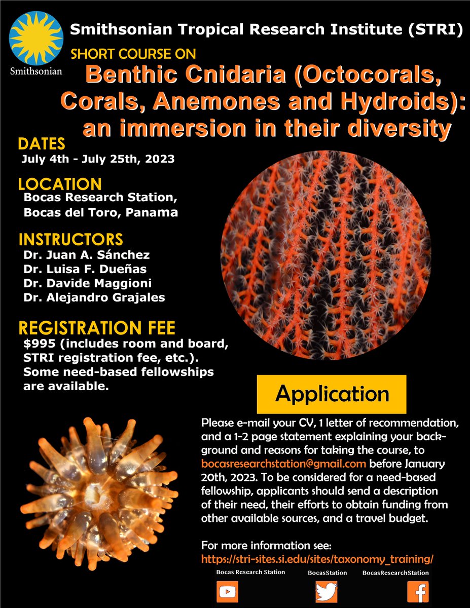 We are pleased to announce the second course we will offer at the Bocas Station this summer. Come and learn all about Benthic Cnidarians. This course will focus of octocorals, anemones and hydroids as well as covering te local corals🤿🔬