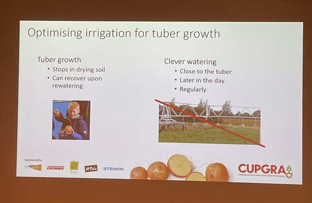 Crop4Sight tweet media