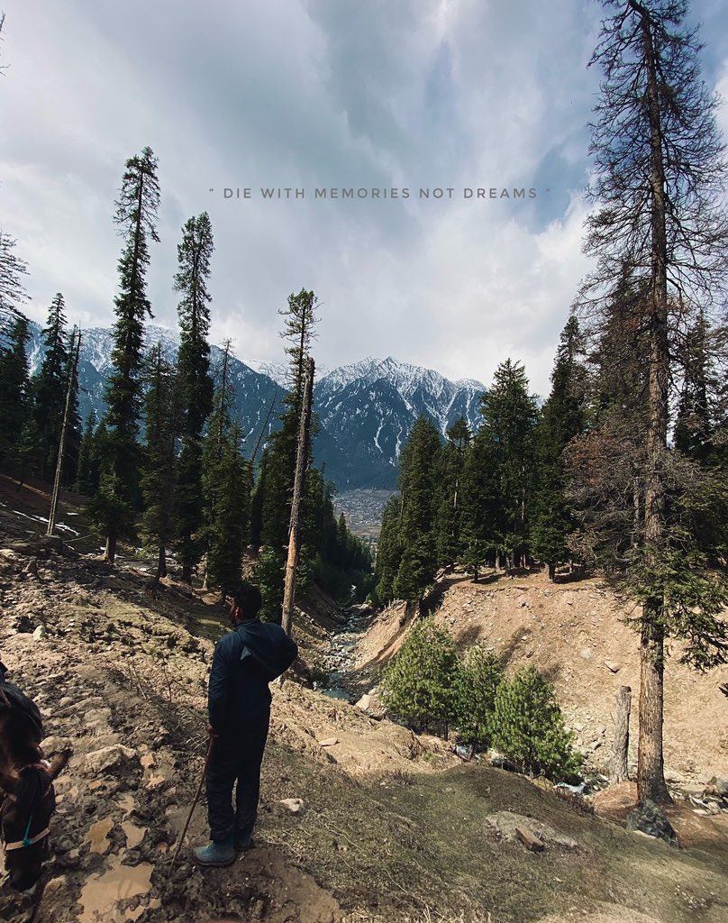 1harshitjaiswal's tweet photo. Chasing Dream💫
#photography #kashmir #pahalgham #jktourism #shotoniphone https://t.co/7ElEmnkQTW