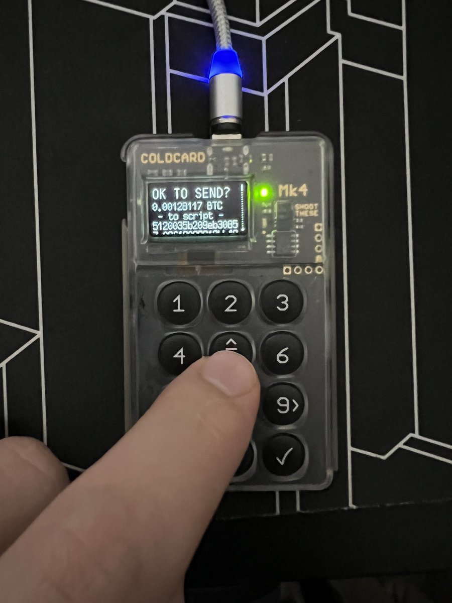 igorauts tweet media