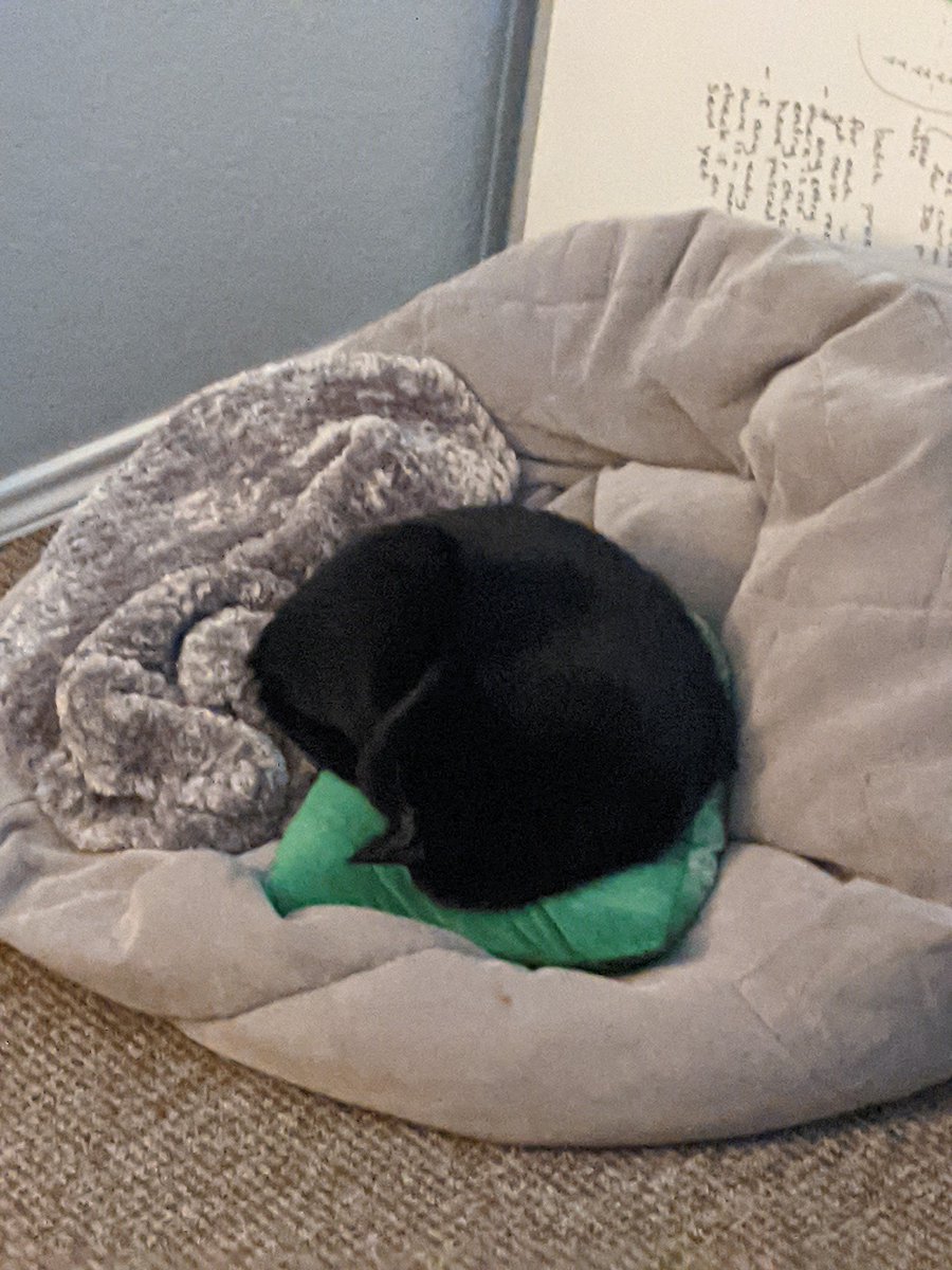 Symmetry in nature. Today vs yesterday