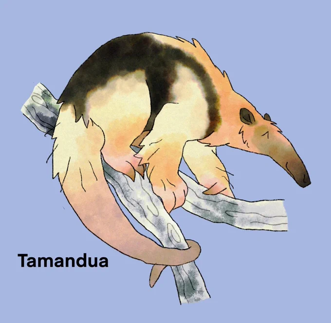Patron animal requests 