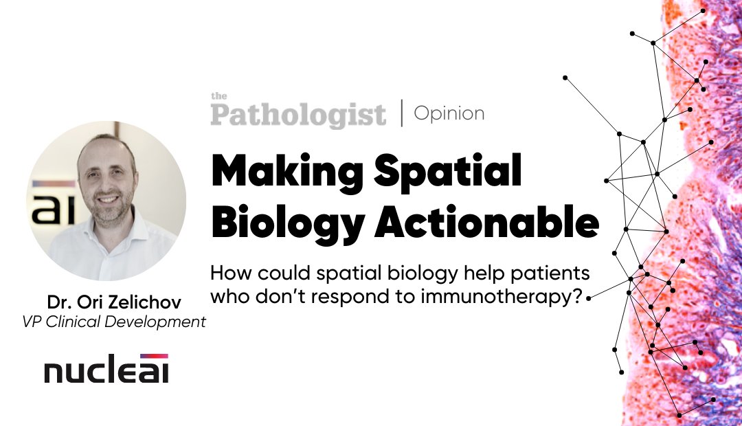 nucleai_ai's tweet photo. Can spatial biology help patients who don't respond to immunotherapy? Read Dr. Ori Zelichov's article, Making #SpatialBiology Actionable, in the latest issue of @pathologistmag https://t.co/Z0GjXl11Fg
#spatialbiology #nucleai #aipowered #immunogherapy #digitalpathology #oncology https://t.co/IeOjlkbIOf