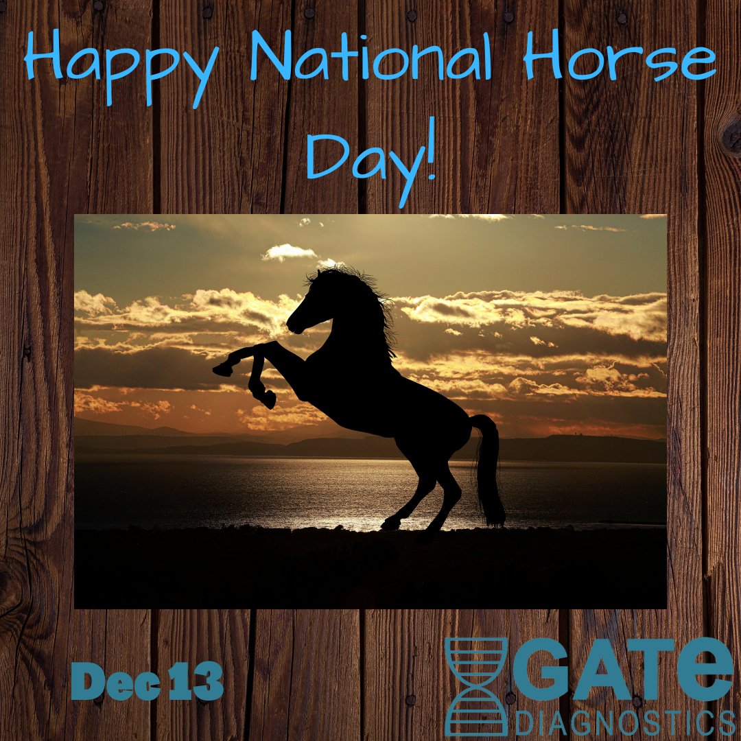 GateScientific's tweet photo. https://t.co/ifQwV11AB2