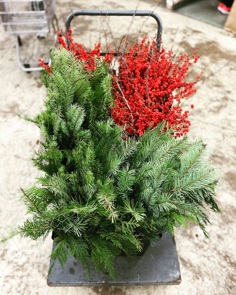 sofloco's tweet image. Christmas @sofloco