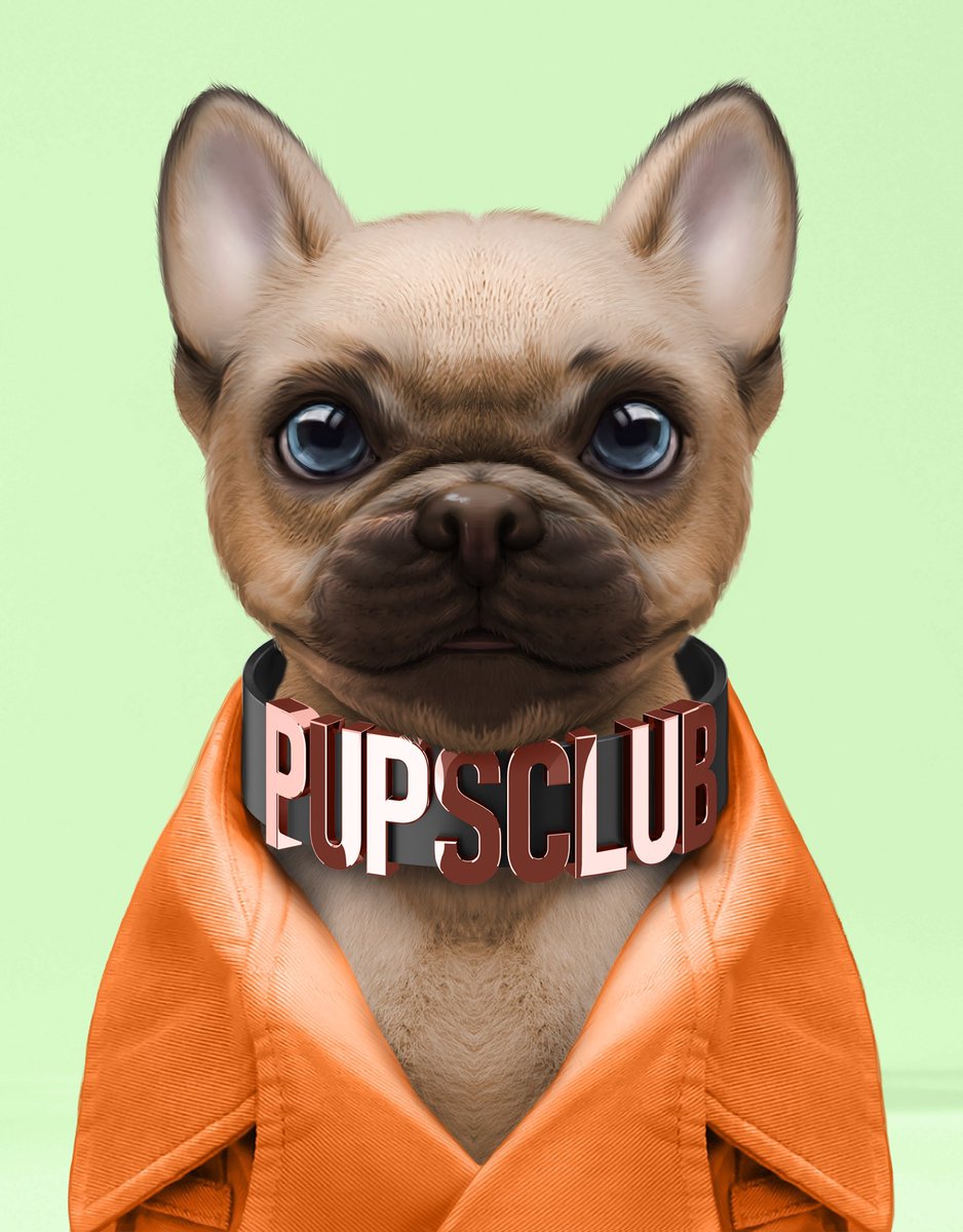 elliotlfg's tweet photo. I’m bullish on Pups Club.

The big guns behind the project, the lifetime membership, exclusive giveaways and other perks.
Let’s dive in.

🧵 https://t.co/IJTegtlqmK