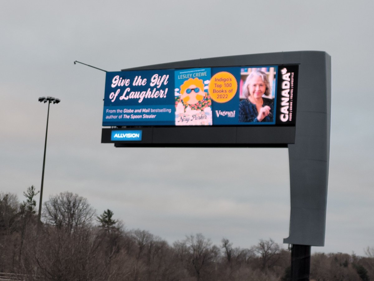 Holy Hannah! Nosy Parker is spying on traffic on the Gardiner Highway in Toronto! #nosyparker #nimbuspublishing #Toronto #canadianfiction #keepyoureyesontheroad