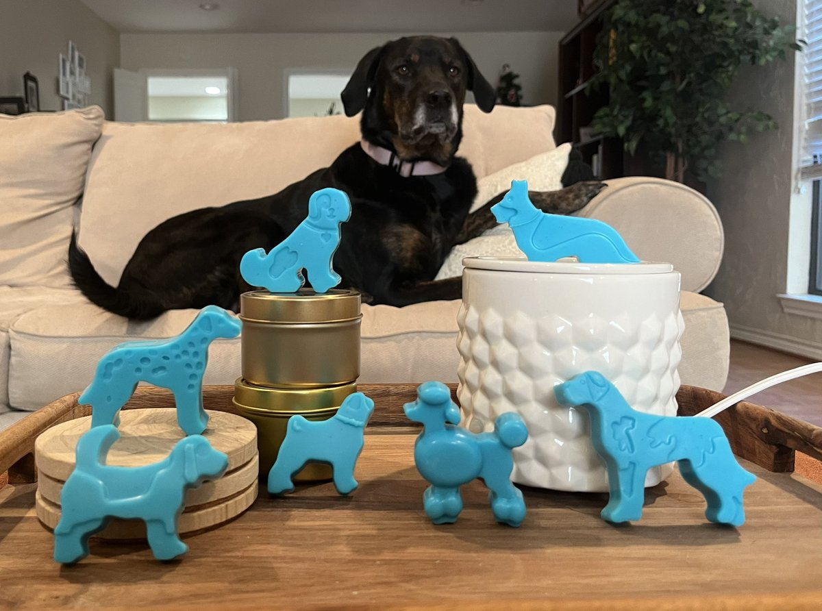 kelcor5's tweet photo. I started an Etsy shop selling soy wax melts✨ Check it out at https://t.co/gbZtgOGCBX https://t.co/t8GHAMxTCx