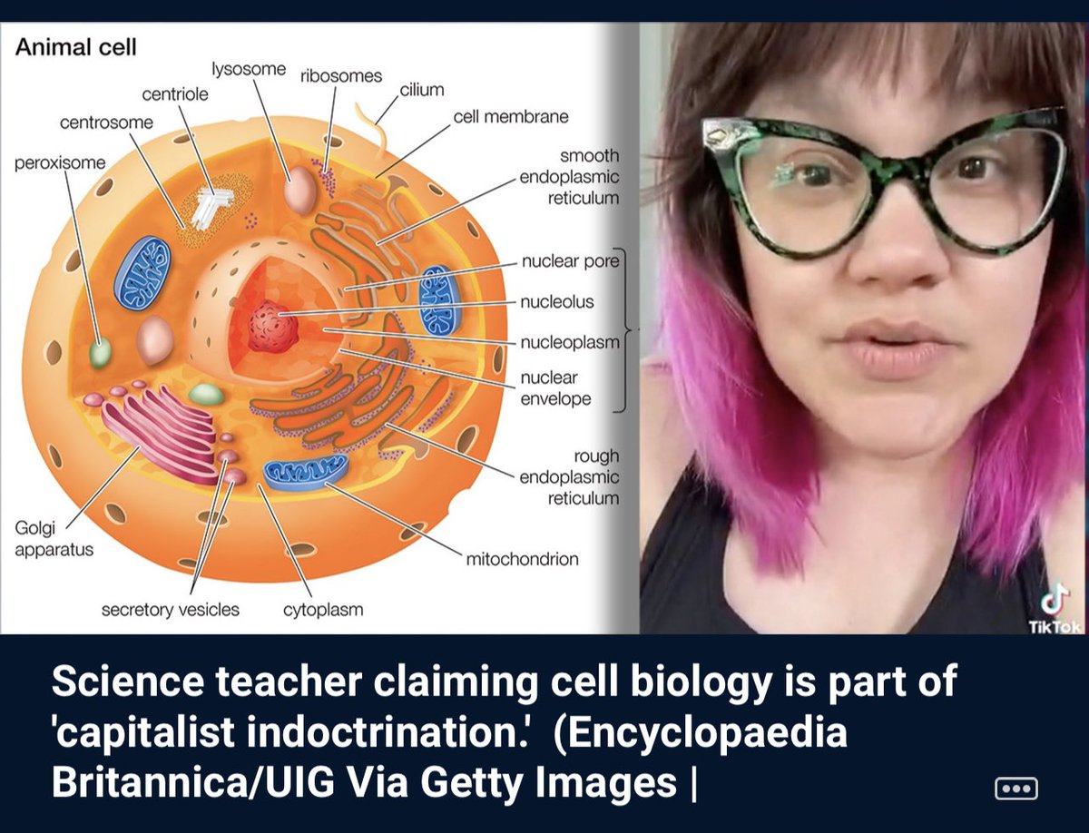 Johnny Skidmark on Twitter "Mandi Jung, seventh grade science teacher