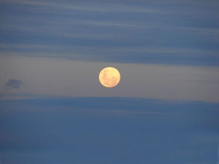 vanouit's tweet image. oíd mortales el grito sagrado