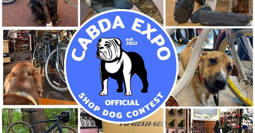 The most important election of our time. The Cabda shop dog contest! Vote for Wade! cabda.typeform.com/shopdogs?fbcli…