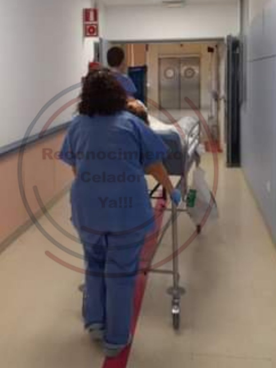 Para trasladar a un paciente en la cama el celador debe colocarse detrás de la cabeza del paciente y empujar la cama o camilla de manera que el paciente va en el sentido de la marcha. En el ascensor, el celador debe entrar primero tirando de la cabecera de la cama
#ParaCelador