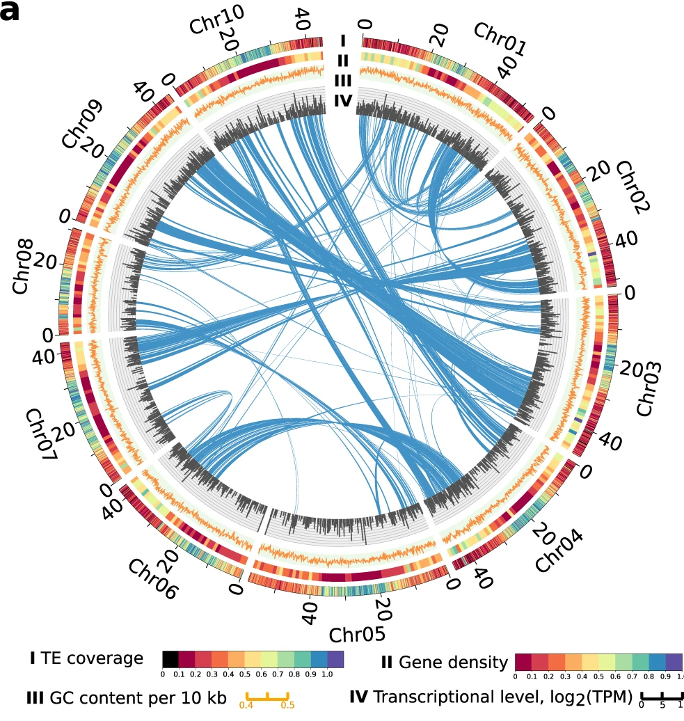James Schnable tweet media