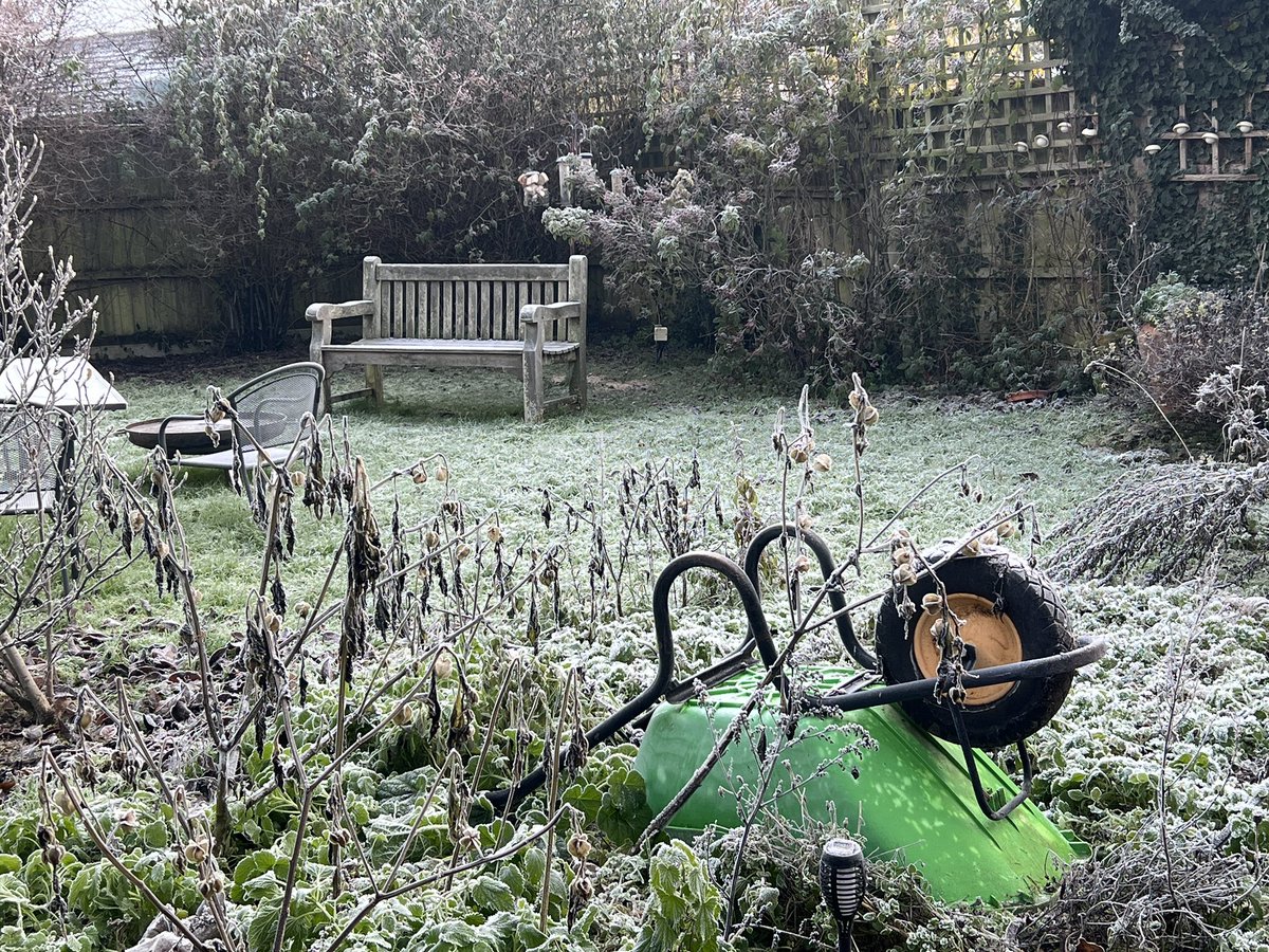 CarminaStudio's tweet photo. Beautiful frosty day in the garden #NaturePhotography #frosty #ice #Winter #cold #garden #untouchedphoto #naturalbeauty https://t.co/64oHiDNhPT