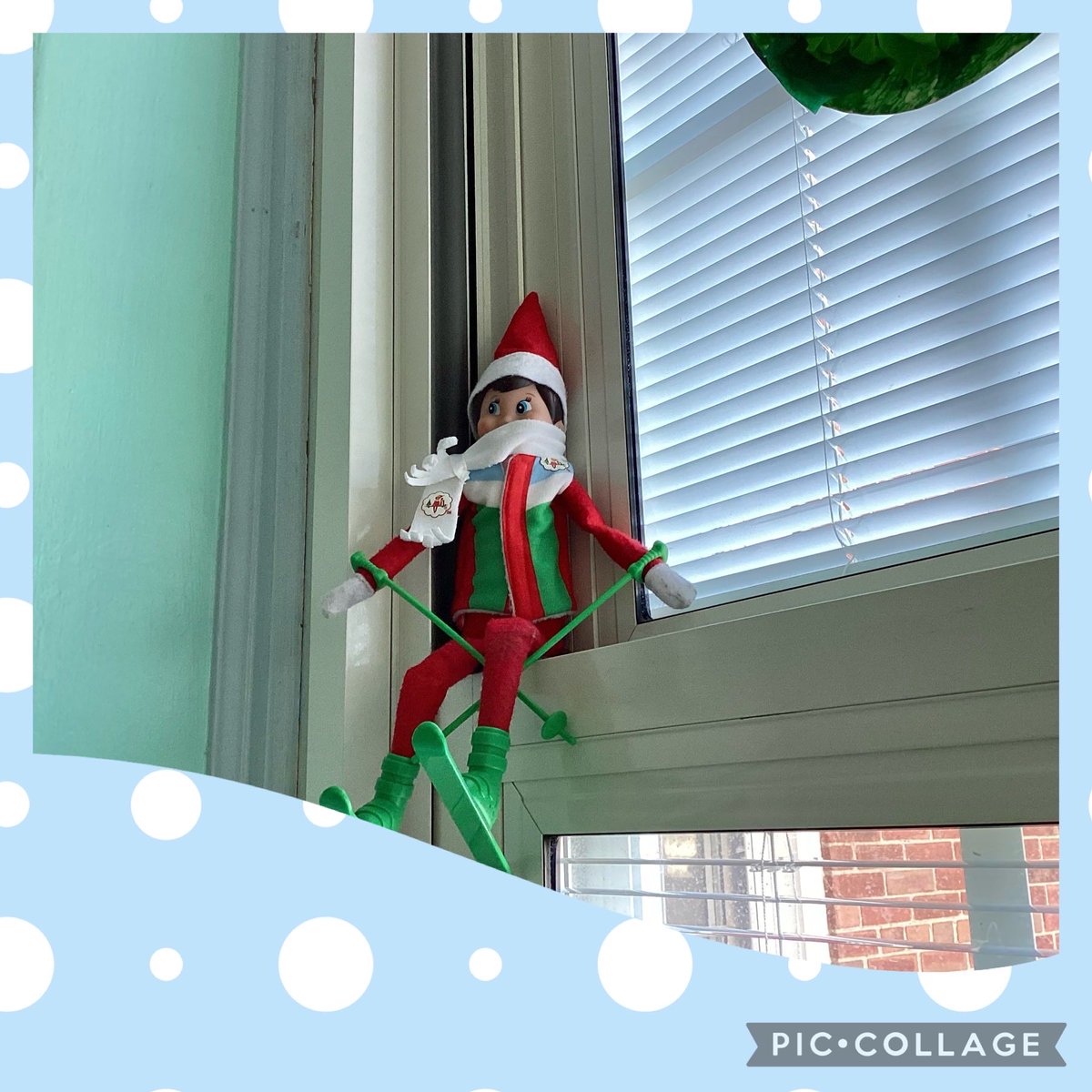 Jennifer Weisberg tweet media