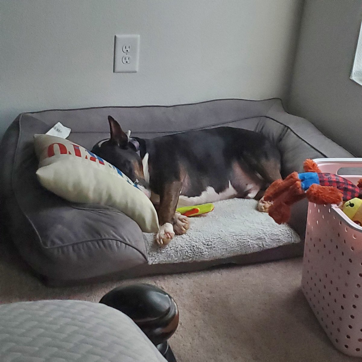 Shalomander 🔞 (COMMISSIONS OPEN!) tweet media