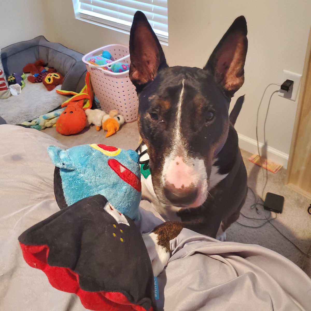 Shalomander 🔞 (COMMISSIONS OPEN!) tweet media