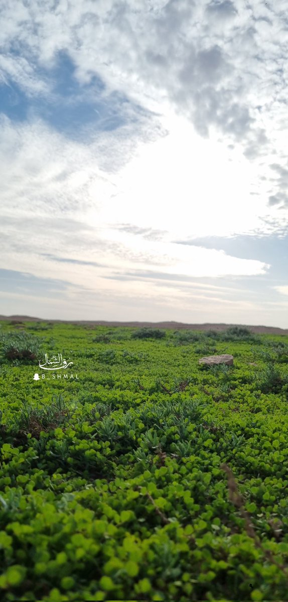 #ربيع_1444
اليوم الثلاثاء 19 / 5 / 1444
ربيع الفياض شمال المملكة عسى الله يتبع لها بالمطر