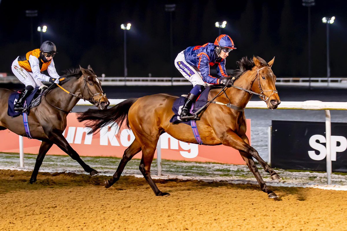 Tairann breaks her maiden on her first start for Team Diomed under Daniel Muscutt. Congratulations to her owners Jamie Railton And Partners 🏇🏆 #SWRacing #TeamDiomed #TeamDiomedWinners