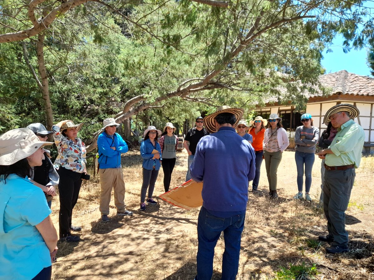 AgroecoINIA's tweet photo. ✅️ Hoy finalizó el primer grupo del Curso Teórico-Práctico: Agroecologia y restauración ecológica.Realizado en #Yumbel, CET secano interior.
Actividad coordinada por @ODEPA y  el BID.
Apoyada por @iniachile 
#agroecología 
#CambioClimático 
#YoNutroMiSuelo https://t.co/nnNbEUH2vz