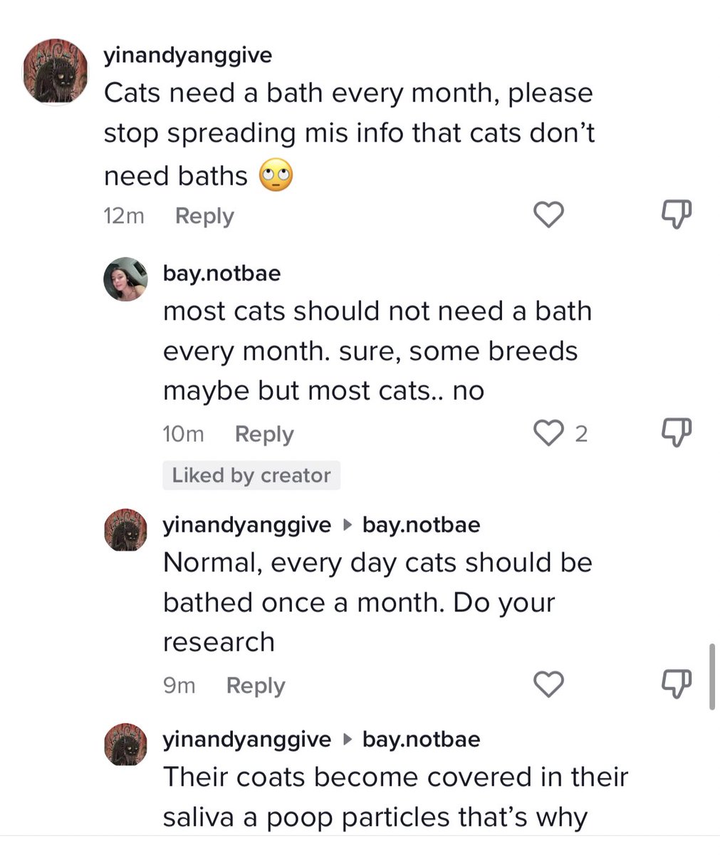 rachelmillman's tweet photo. absolutely mesmerized by this argument in the comments of a tiktok of a feral kitten getting a flea bath https://t.co/AVEfPpNHMr