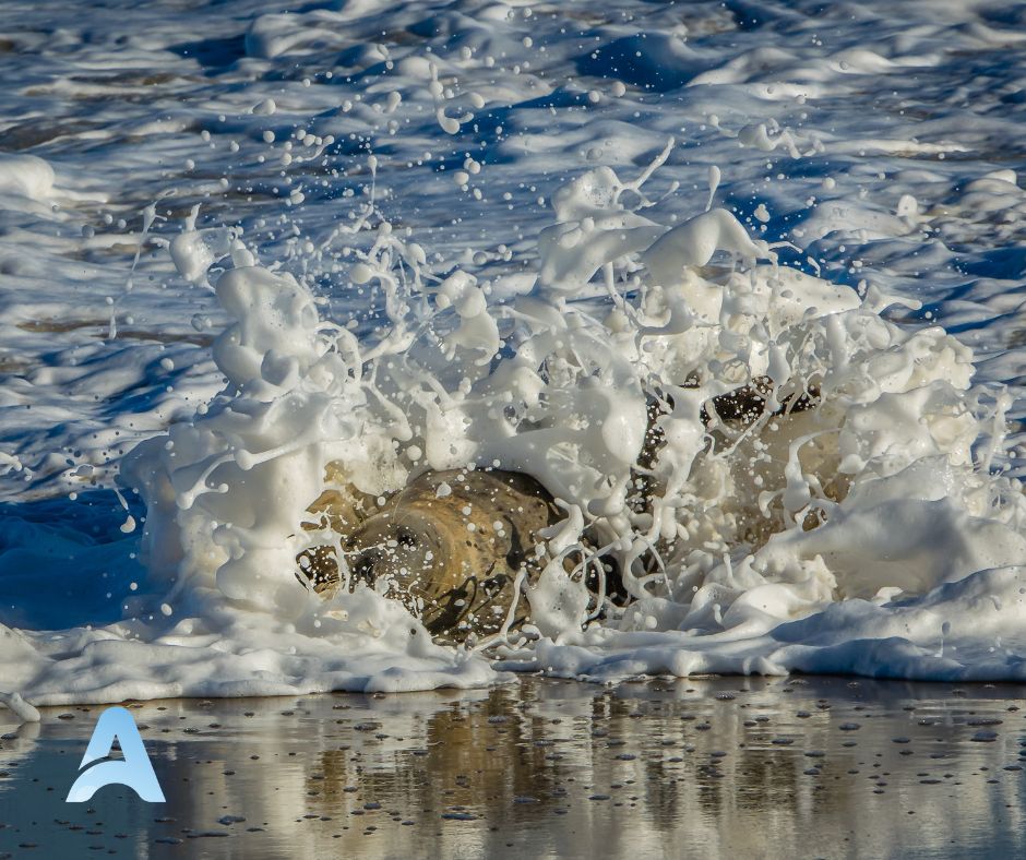 #TipTuesday. Thanks to Josephine from Rose Farm Touring Park, near Great Yarmouth, for the A+ for #anytimebooking. Adopting our software will streamline your booking management and guest communication while saving you stacks of time.