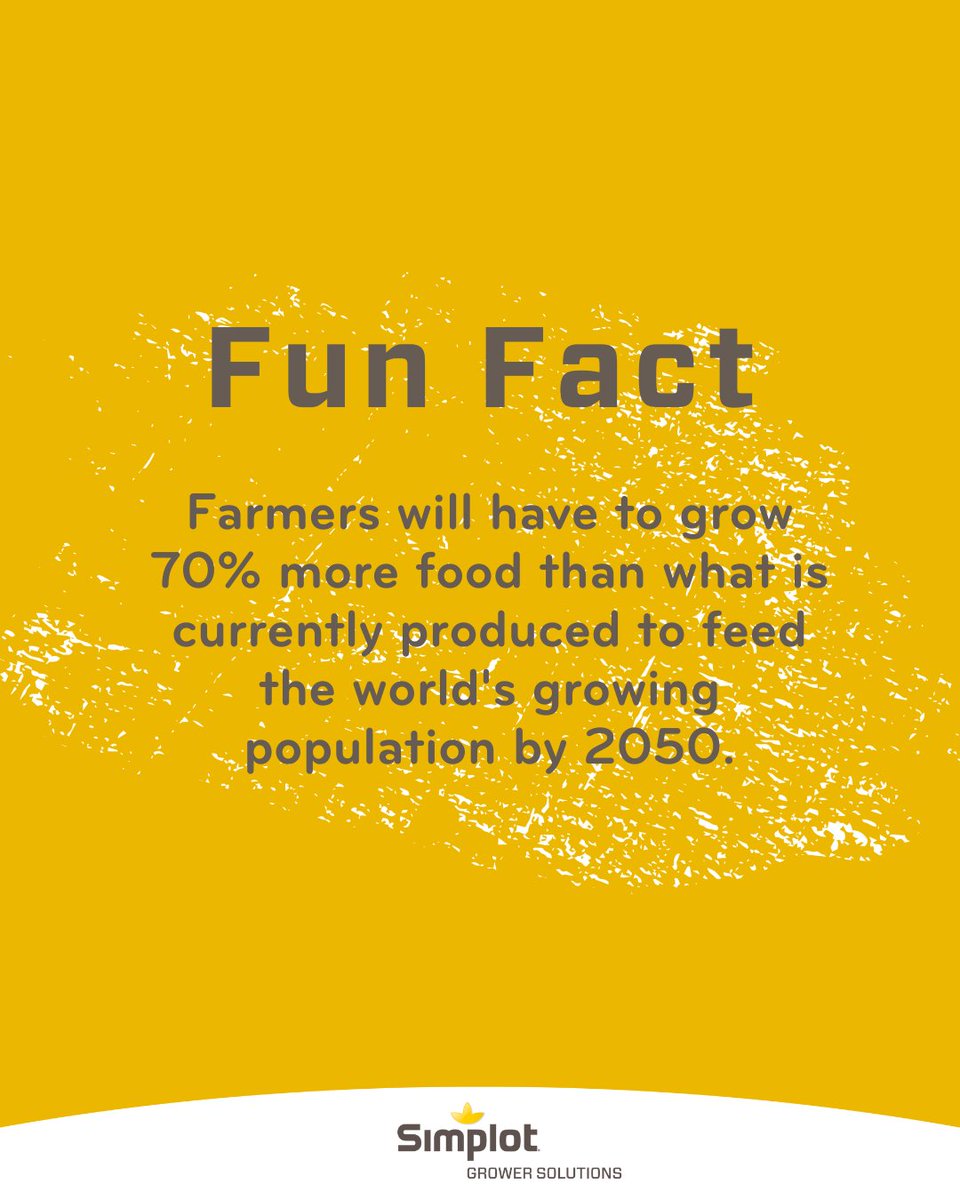 Simplot_SGS's tweet photo. Fun Fact 😱 Farmers will have to grow 70% more food than what is currently produced to feed the world's growing population in 2050, according to https://t.co/6B6Kuu5dWX. Learn more at https://t.co/pYgwdj23te.
.
#agribusiness #simplot #simplotgrowersolutions #sgs #cropsolutions https://t.co/YeLTLyuWIU