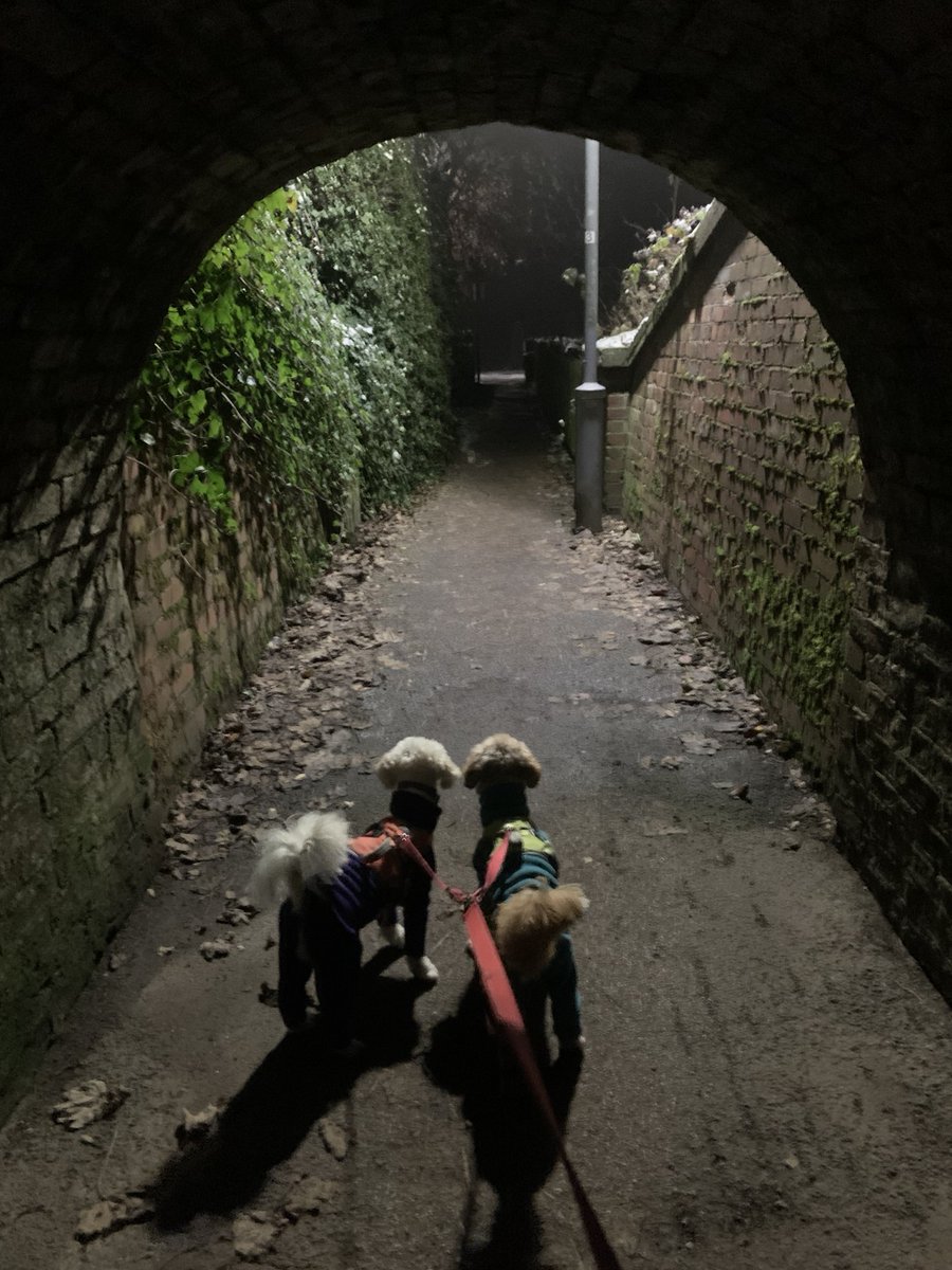 worldofdel's tweet photo. Some pictures from a cold but pleasant evening walk in #SouthYorkshire https://t.co/UHP8isiRMO