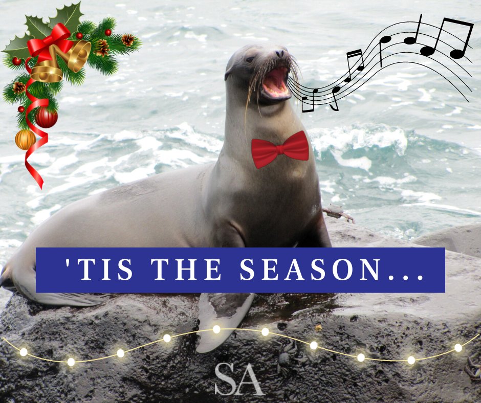 'Tis the season of giving! GIFT the Dream Vacation of 2023 to those who are hungry for adventure 🎁 - mailchi.mp/saexpeditions/…