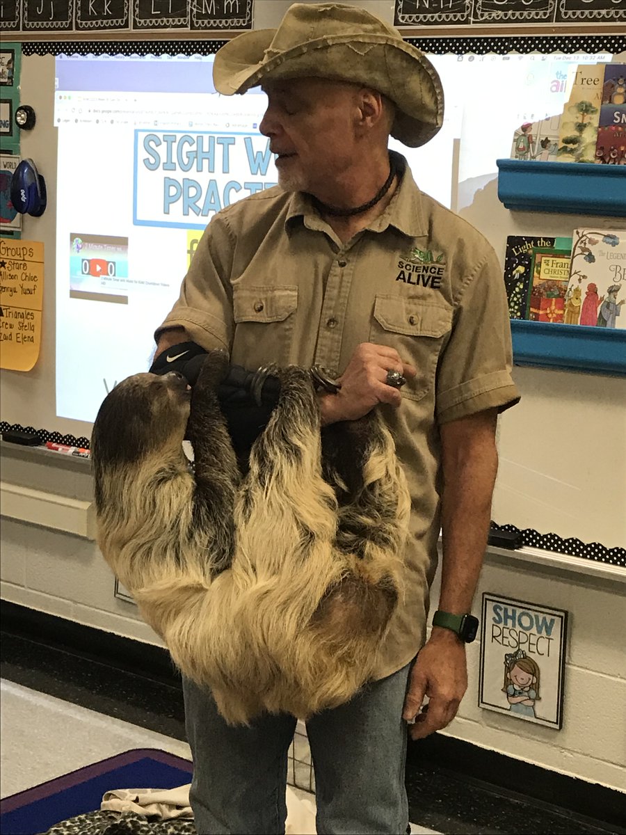 LoganElementary tweet media