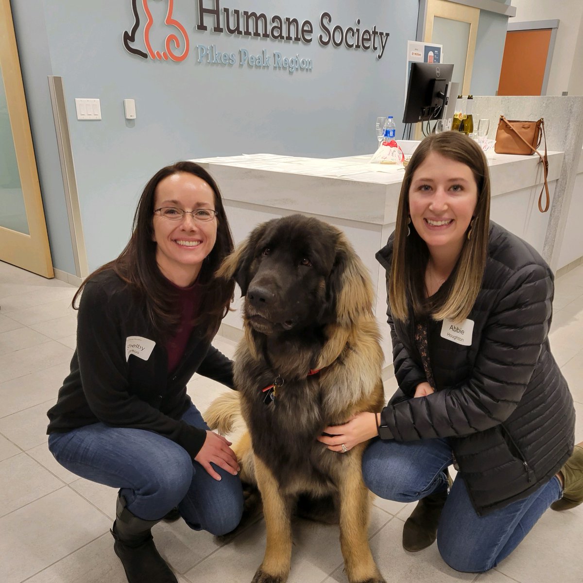 gejcc's tweet photo. Our Special Projects team celebrated a ribbon cutting ceremony for the @HSPPR @Humane Vet Clinic last week! They are now working on the final phase of the project, turning the existing hospital area into the new foster space. #buildingcommunity https://t.co/d5yQqJsXUH