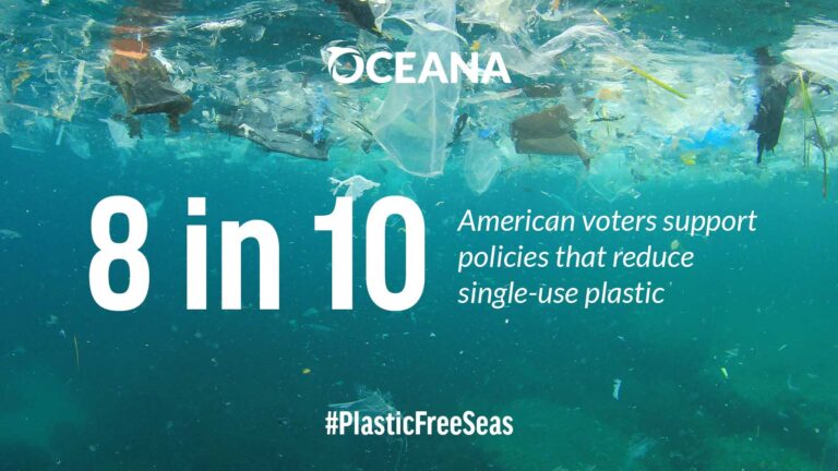 TXAdoptABeach's tweet photo. Most American voters are concerned about plastic pollution and its impact on the environment and our oceans, according to a poll conducted last year by the nonpartisan polling company Ipsos: https://t.co/SYraGIQHlw https://t.co/kxJaFfaJrK