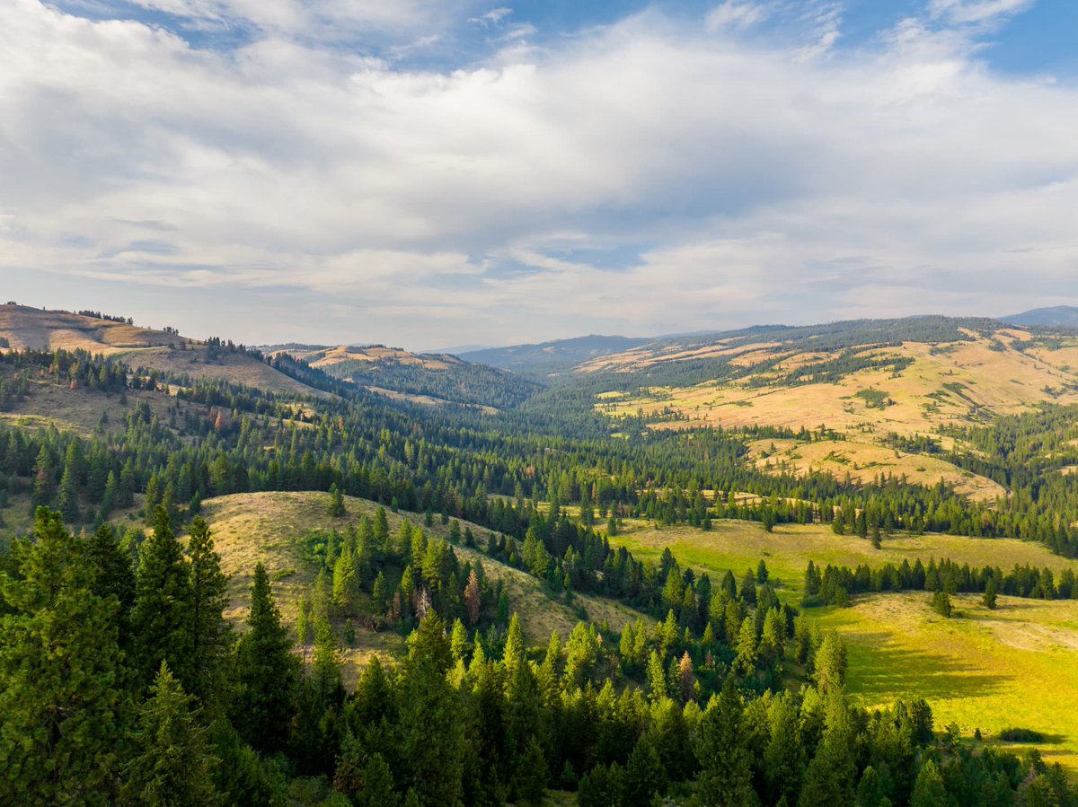 The Land Report on Twitter "𝐒𝐚𝐧𝐜𝐭𝐮𝐚𝐫𝐲 𝐨𝐧 𝐓𝐡𝐢𝐫𝐝 𝐅𝐨𝐫𝐤 Idaho 2,495,000