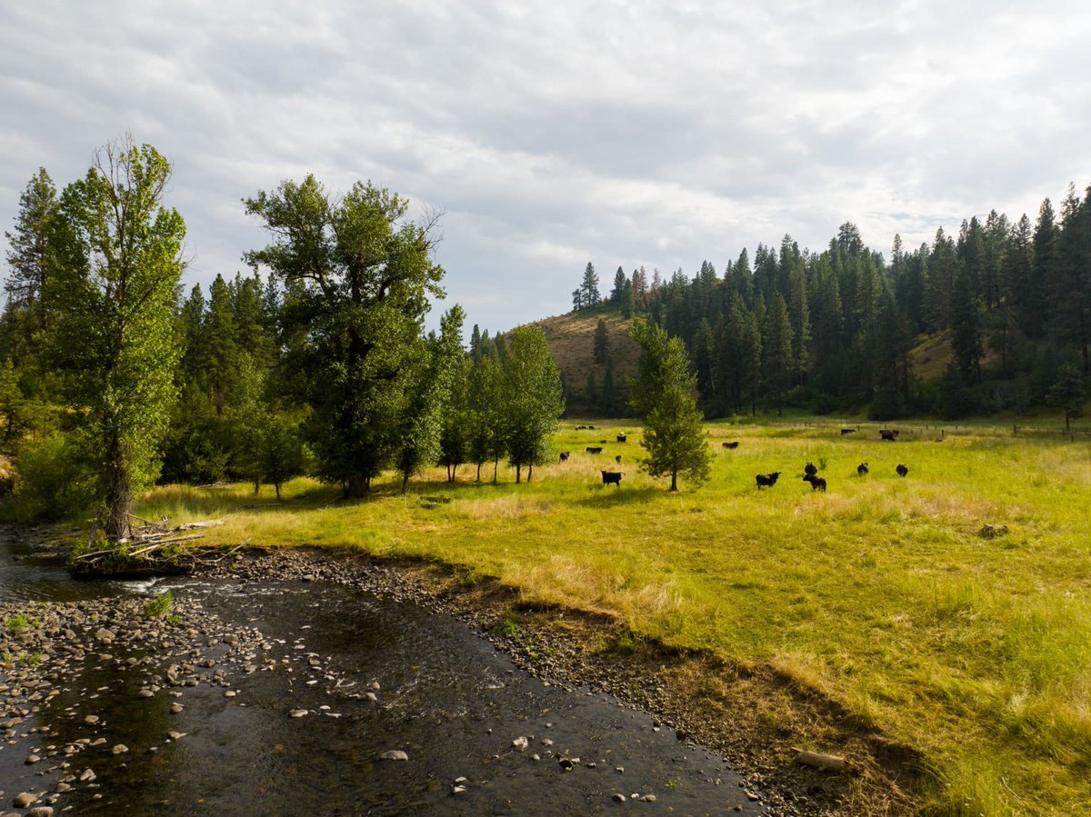 The Land Report on Twitter "𝐒𝐚𝐧𝐜𝐭𝐮𝐚𝐫𝐲 𝐨𝐧 𝐓𝐡𝐢𝐫𝐝 𝐅𝐨𝐫𝐤 Idaho 2,495,000