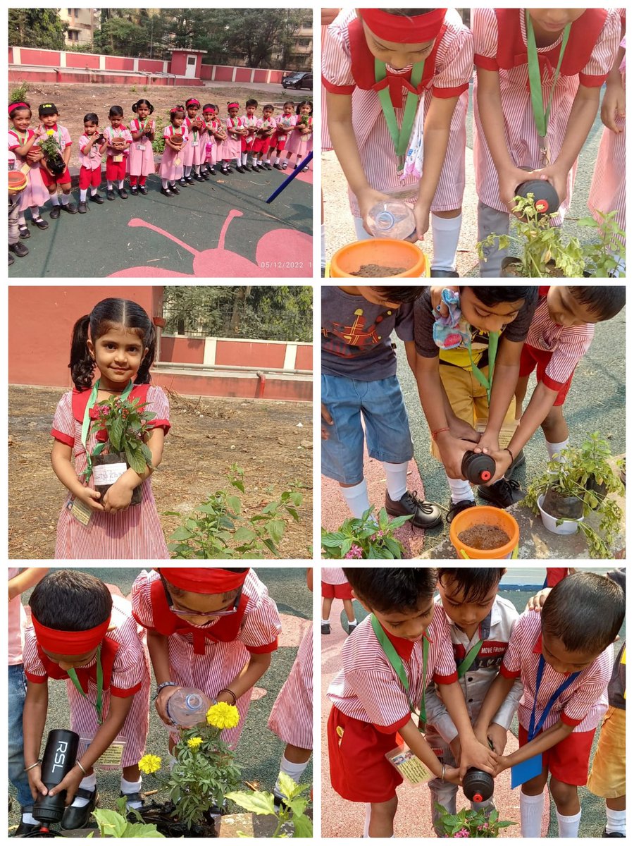 Message of Nature love and Nature conservation🌷@ MPS Kane Nagar CBSE🌱 Gardening activities by little angels 🌴 <a href="/Swapnayadav10/">Swapna yadav</a> <a href="/VekhandeDeepak/">Deepak Vekhande</a> <a href="/sawantshweta14/">shweta14</a> <a href="/SangolkarArun/">Arun Chandar Sangolkar</a> <a href="/mybmcedu/">BMC Education Department</a> <a href="/mpscbsemithagar/">MPS CBSE MITHAGAR</a>